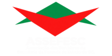 assefesc.org.br